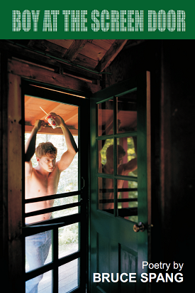 Boy at the Screen Door